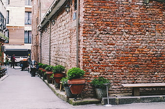 Rustic brick wall alley with potted plants and bench