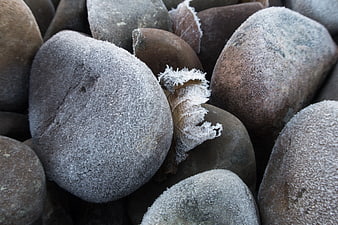 Close-up of frost-covered stones and frozen leaf in winter