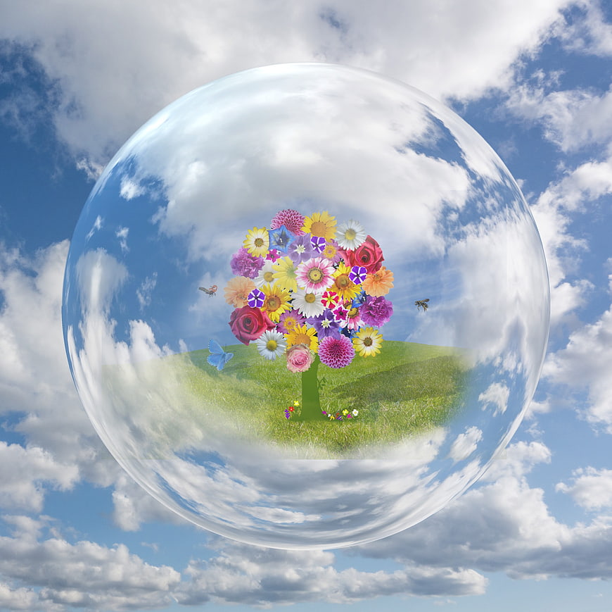 Fantasy Flower Tree Inside a Giant Soap Bubble