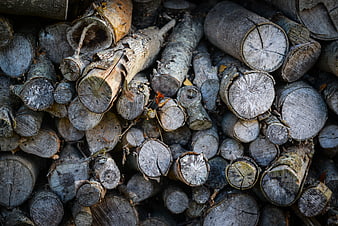 Stack of weathered firewood logs with textured bark