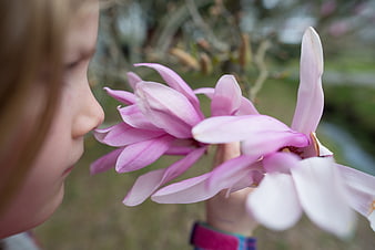 Close-up of child smelling pink magnolia flower