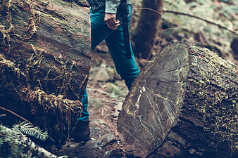 Hiker Walking Past Mossy Log in Forest
