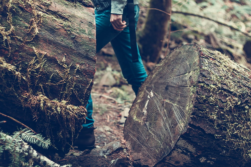 Hiker Walking Past Mossy Log in Forest