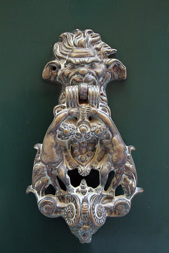 Antique Brass Lion Head Door Knocker on Green Door
