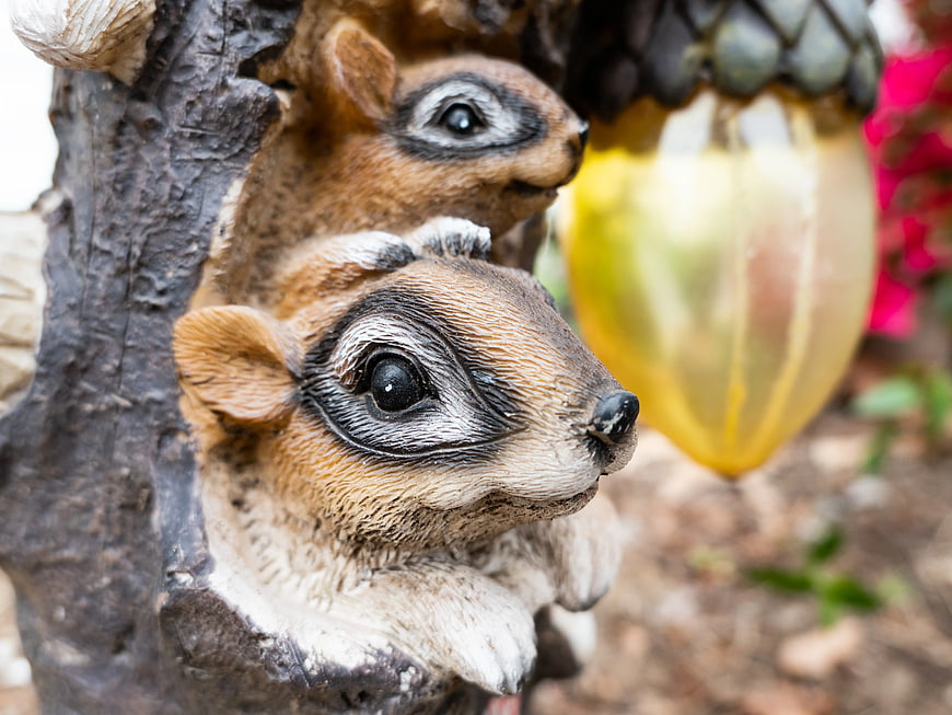 Close-up of Cute Squirrel Garden Statues Peeking from Tree