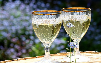 Two Gold-Rimmed Glasses of Sparkling Wine With Wildflowers