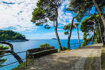 Coastal Promenade in Cavtat, Croatia with Stone Bench and Pine Trees