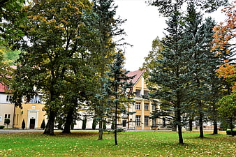 Yellow building surrounded by autumn trees and green lawn