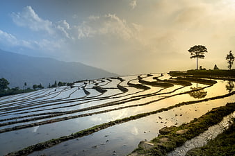 Water-filled rice terraces reflecting golden sunset sky and distant mountains