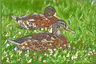 Artistic painting of two ducks resting in green grass