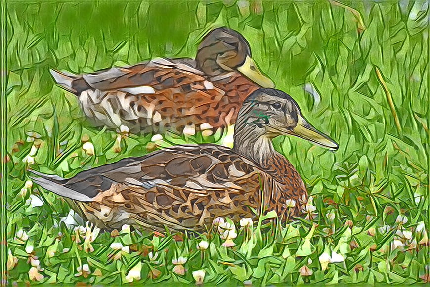 Artistic painting of two ducks resting in green grass