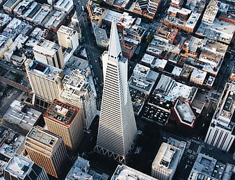 Aerial View of Transamerica Pyramid in San Francisco