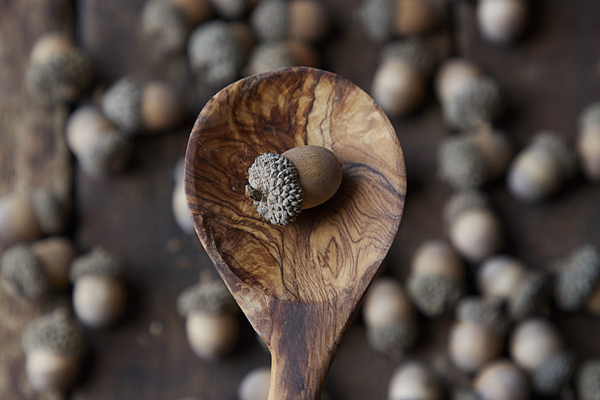 Single acorn on rustic wooden spoon with blurred background
