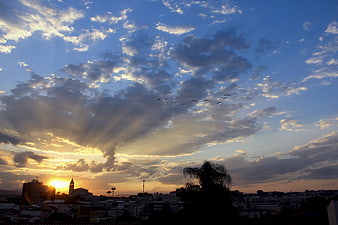 Dramatic Sunset Over City Skyline with Birds and Sun Rays