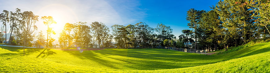 Panoramic View of Sunny Green Park with Trees and Blue Sky