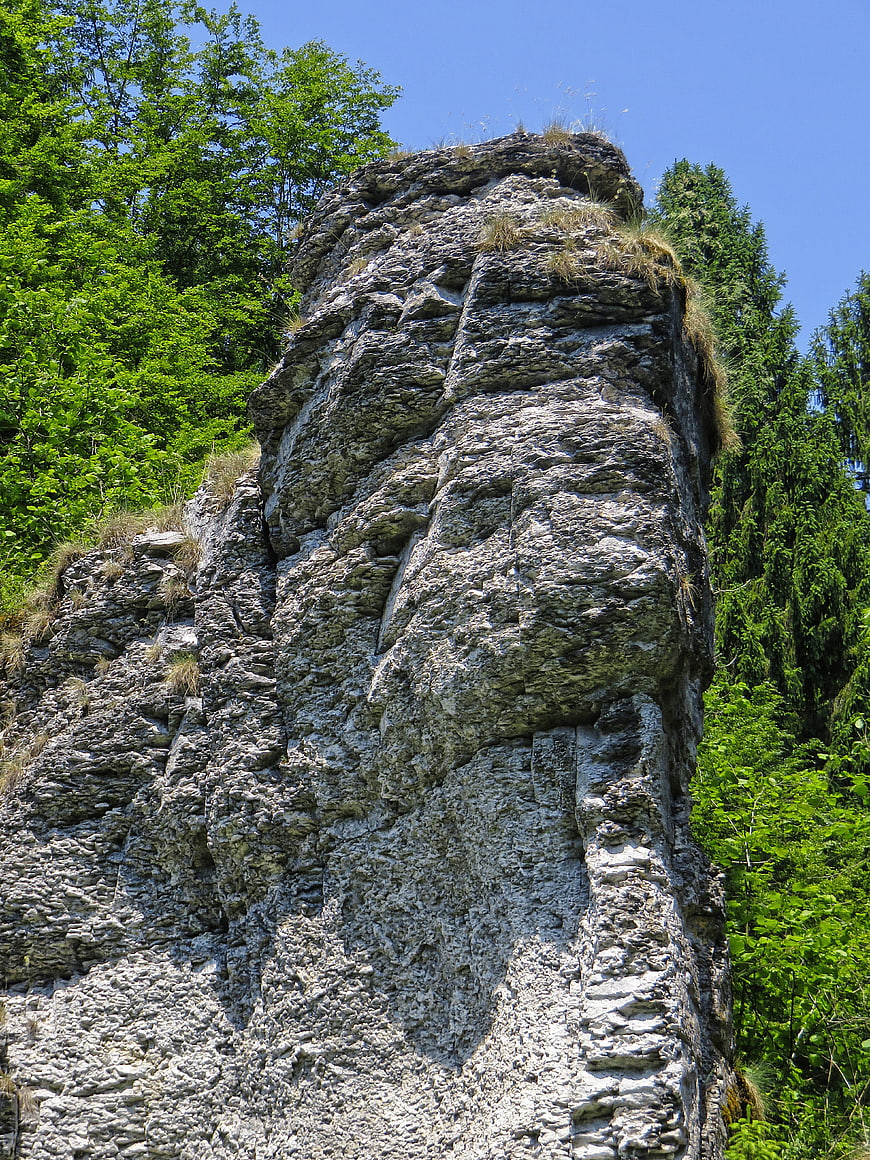 Vertical Rock Formation in Franconian Switzerland Forest