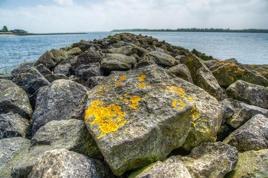 Lichen-covered rocks on a coastal breakwater with lake background