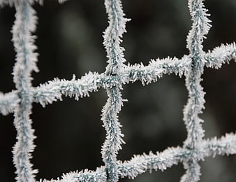 Close-up of frost-covered wire fence in winter