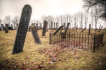 Old Cemetery with Leaning Tombstones and Fallen Leaves