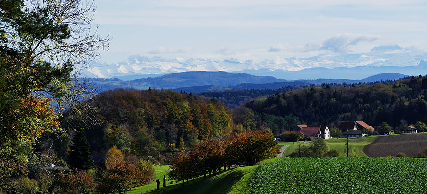 Panoramic autumn landscape with snow-capped Alps and rolling green hills
