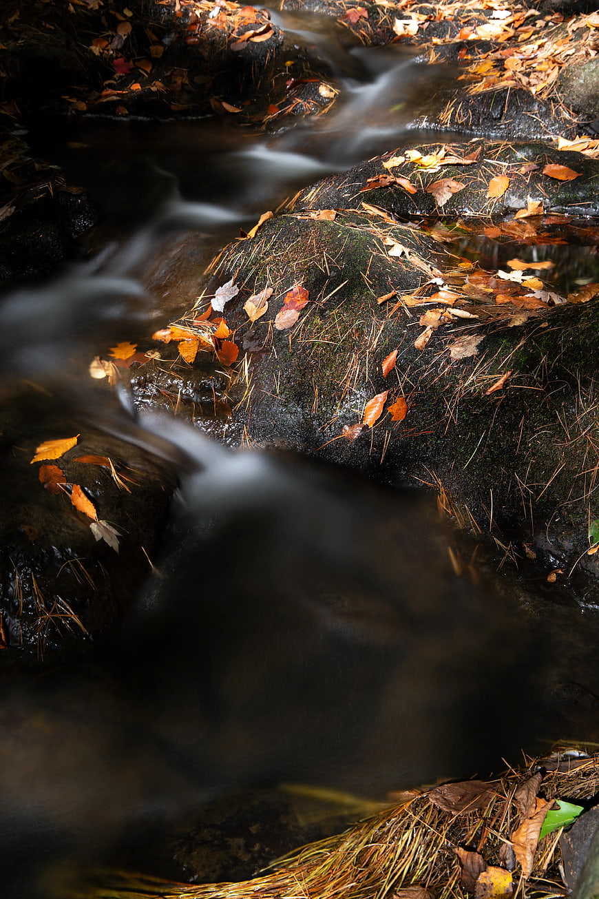 Autumn Stream Flowing Over Mossy Rocks with Fallen Leaves