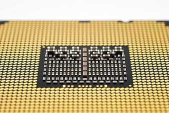 Macro Close-Up of CPU Processor Gold Pins and Contacts