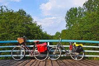 Two Bicycles Parked on Wooden Bridge with Green Forest Background