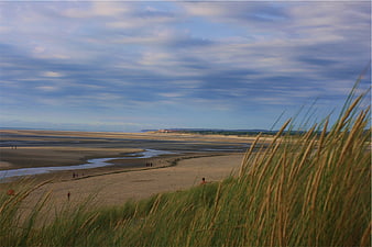 Wide Beach Landscape with Dune Grass and Blue Sky