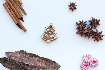 Christmas gingerbread cookie with cinnamon and peppermint candies