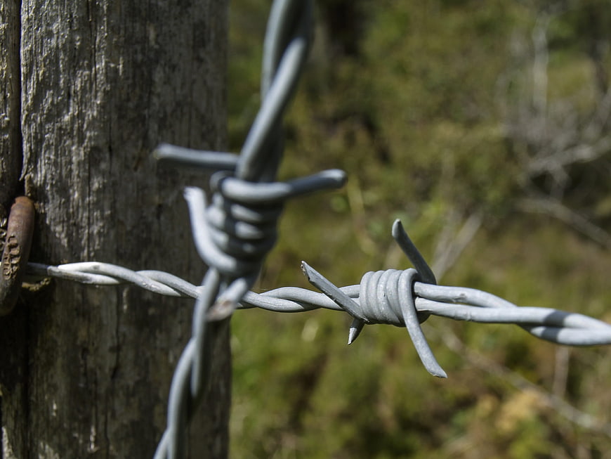 Close-up of barbed wire on weathered wooden fence post