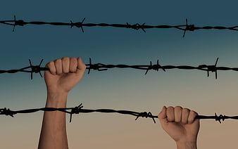Hands gripping barbed wire fence against gradient sky background