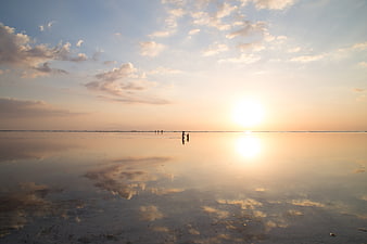 Silhouetted figures walking on reflective beach at sunset