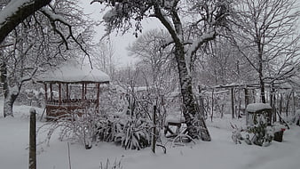 Snow-covered backyard garden with gazebo and trees in winter