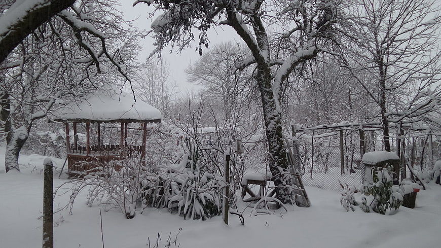Snow-covered backyard garden with gazebo and trees in winter