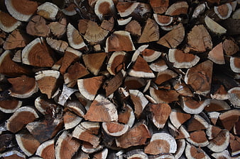 Close-up texture of stacked firewood logs