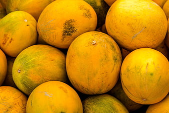 Close-up of fresh yellow melons with green skin