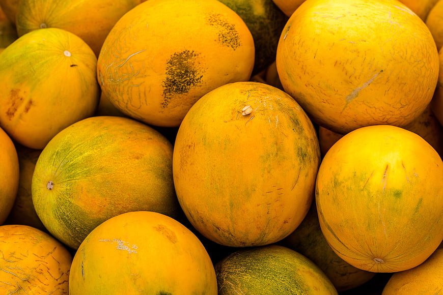 Close-up of fresh yellow melons with green skin