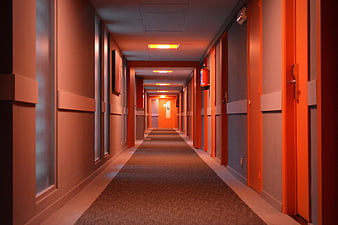 Empty Hotel Hallway With Orange Doors And Carpeted Floor
