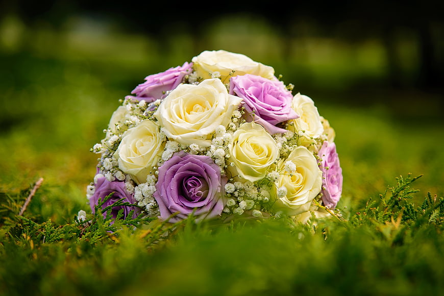 Purple and White Rose Wedding Bouquet on Green Grass