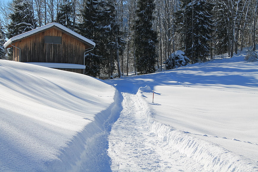 Snowy Path Leading to Wooden Cabin in Winter Forest