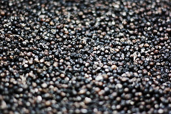 Close-up texture of black peppercorns with shallow depth of field