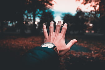 Man's Hand Reaching Out in Autumn Forest with Watch
