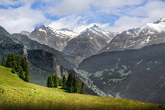 Majestic Snow-Capped Alpine Peaks And Green Valley Landscape