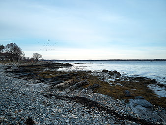 Tranquil Rocky Coastline with Pebble Beach and Distant Birds