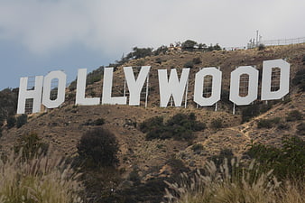 Hollywood Sign on Grassy Hillside in Los Angeles, California