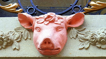 Pink Pig Head Sculpture on Butcher Shop Sign