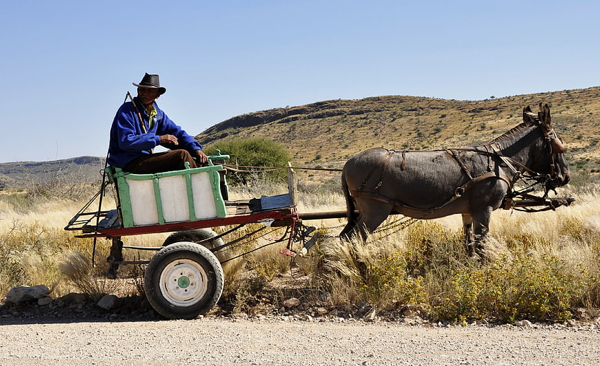 Man Riding Donkey Cart on Rural Road