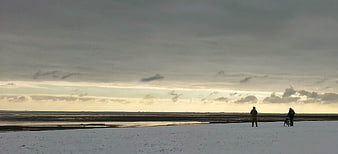 Two people walking a dog on a snowy beach at sunset