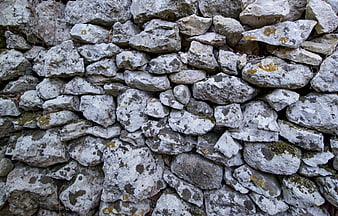 Textured Stone Wall Background with Lichen and Moss