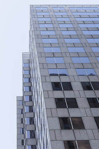Low angle view of modern office building facade with windows